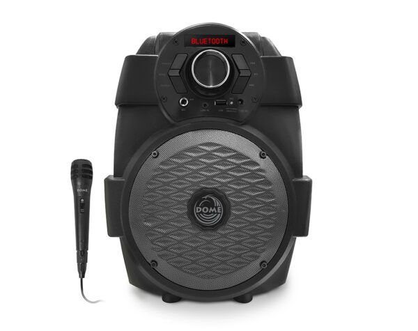 בידורית 1200W P.M.P.O עם מיקרופון חוטי
