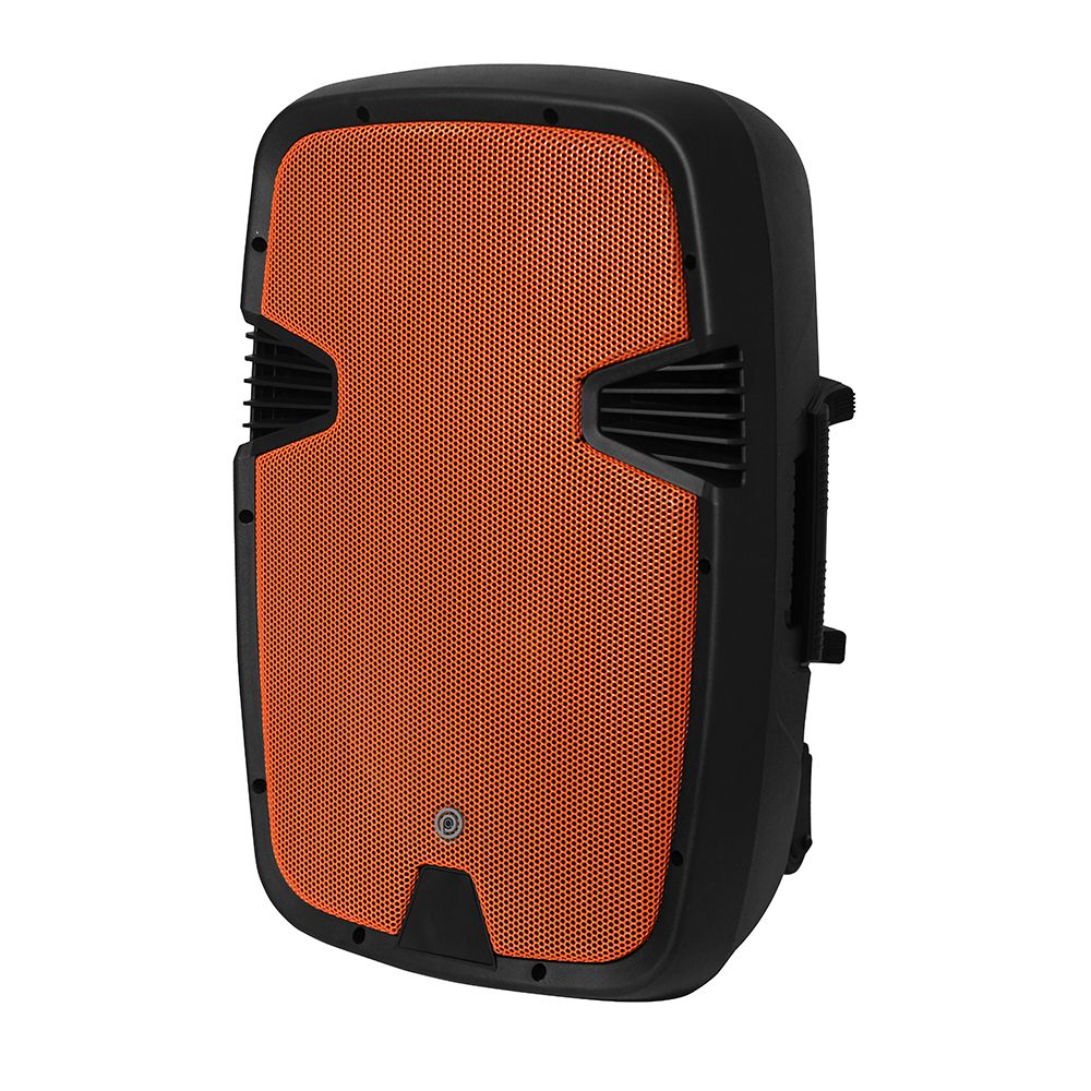 בידורית 300W עם 2 מיקרופונים אלחוטיים – תמונה 2