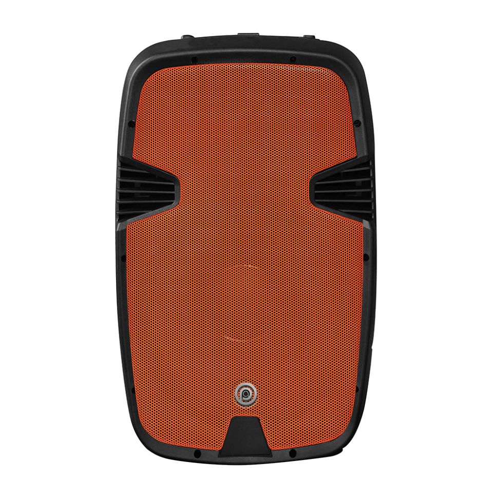 בידורית 300W עם 2 מיקרופונים אלחוטיים – תמונה 4