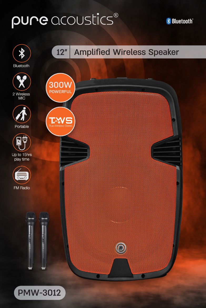 בידורית 300W עם 2 מיקרופונים אלחוטיים – תמונה 5