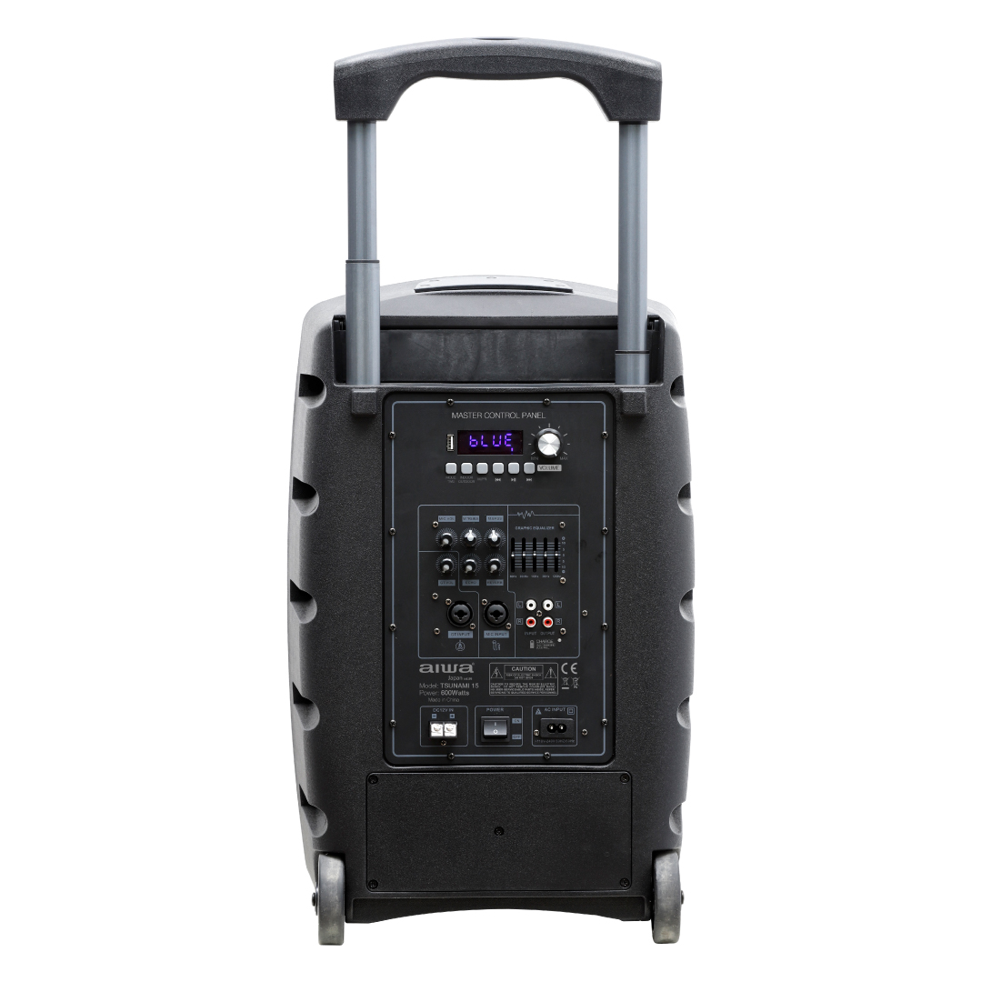 מערכת הגברה ניידת מקצועית עם 2 מיקרופונים 600W – תמונה 2