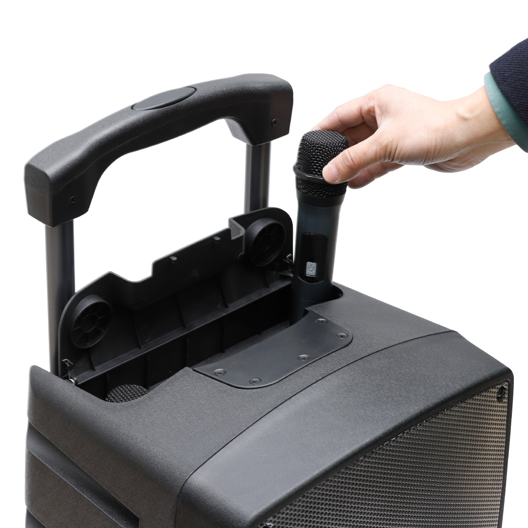 מערכת הגברה ניידת מקצועית עם 2 מיקרופונים 600W – תמונה 4