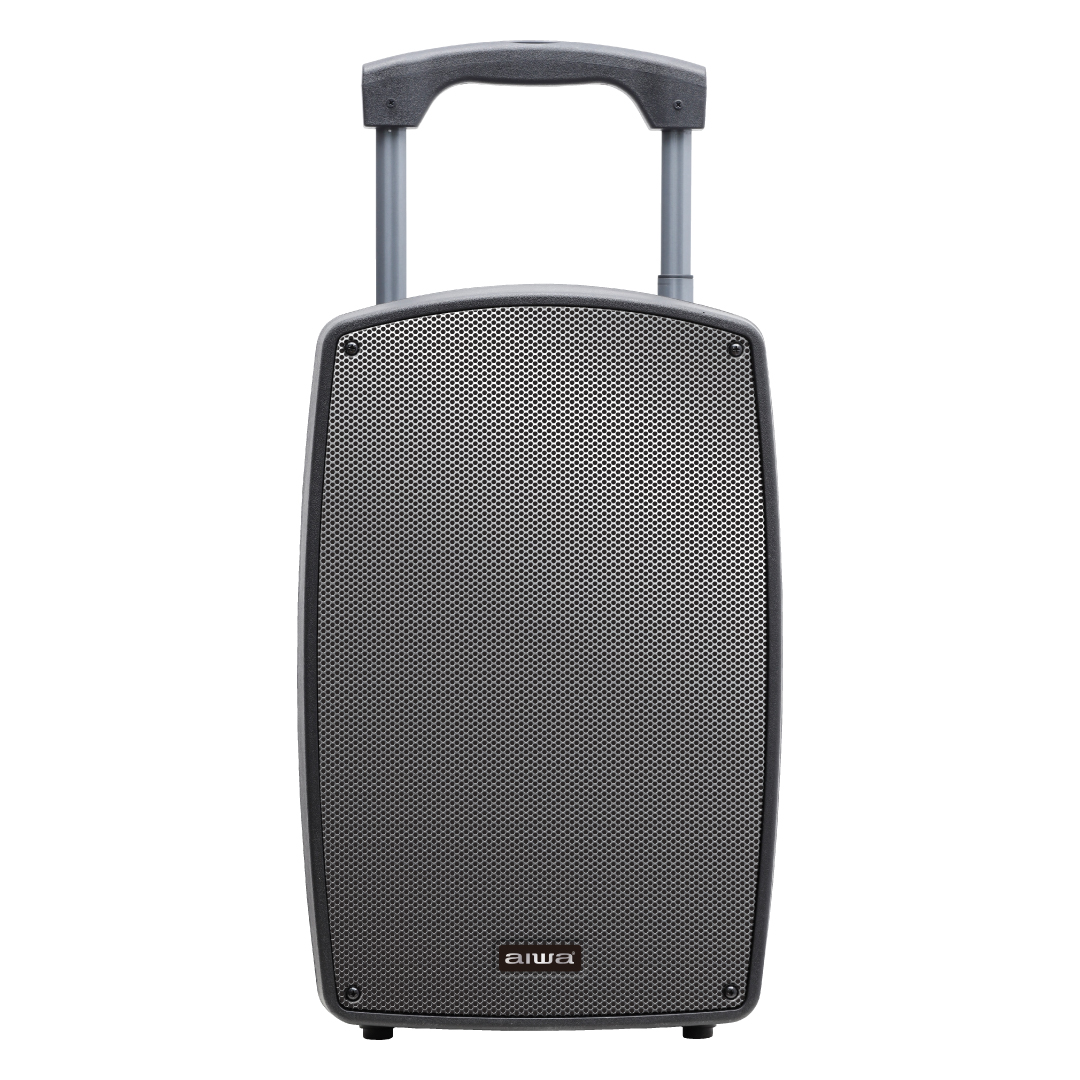 מערכת הגברה ניידת מקצועית עם 2 מיקרופונים 600W – תמונה 5