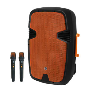 רמקול BT מוג' 15",2 מיקרופונים אלחוטיים,תדר 500W-FHU